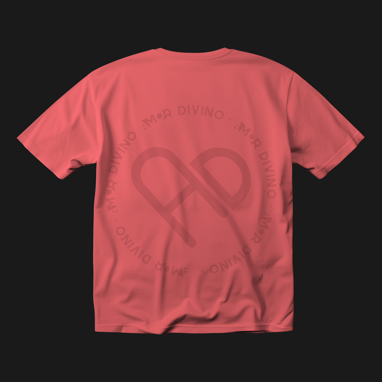 C0029 - Image 4